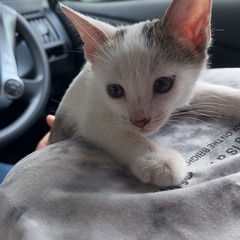 可愛い兄弟ちゃん達՞⸝⸝ᵒ̴̶̷ 𓈞 ᵒ̴̶̷⸝⸝՞