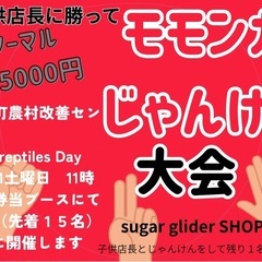 🔴ブリーダー生体イベント🔴