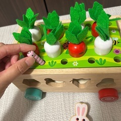 木製 型はめおもちゃの画像