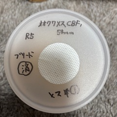 オオクワガタ能登YG血統メス2匹の画像