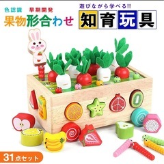 木製 型はめおもちゃの画像