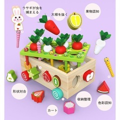 木製 型はめおもちゃの画像