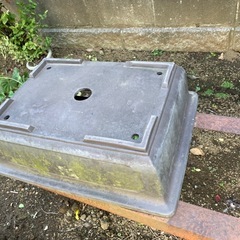  植木鉢 陶器  観葉植物 ラン鉢  盆栽鉢 中古 昭和レトロの画像