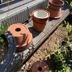 植木鉢 陶器  観葉植物 ラン鉢  盆栽鉢 中古 昭和レトロの画像
