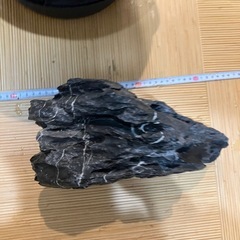龍王石の画像