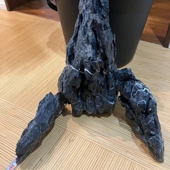龍王石の画像