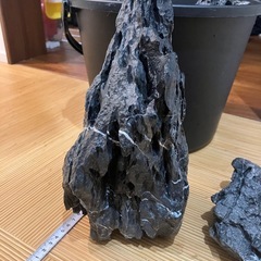 龍王石の画像