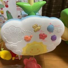 プーメリーの画像