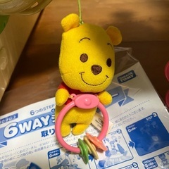 プーメリーの画像