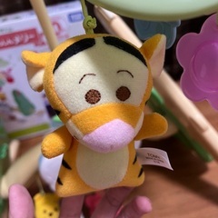 プーメリーの画像