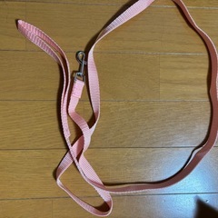犬用ハーネスとリードつき  Mサイズの画像