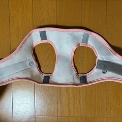 犬用ハーネスとリードつき  Mサイズの画像