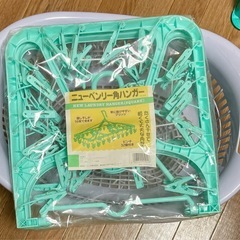 生活用品　まとめて　角ハンガー　脱衣カゴ　布団ばさみ　洗面器　ゴミ箱　他いろいろ の画像