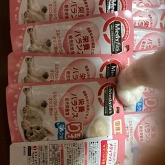子猫用離乳食の画像