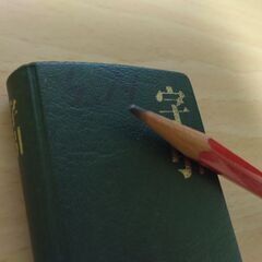 『字引』双倫社の画像