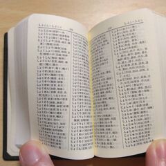 『字引』双倫社の画像