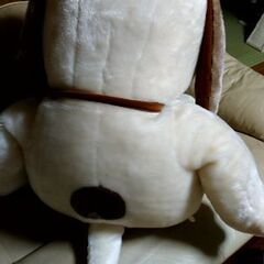 断捨離中です。の画像