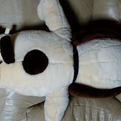 断捨離中です。の画像