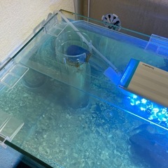 600オーバーフロー水槽セットの画像