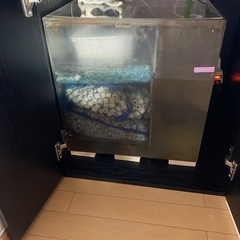 600オーバーフロー水槽セットの画像