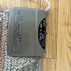 ホットカーペットの画像