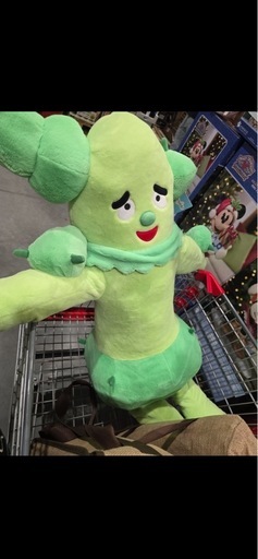 サボさん　コストコ
