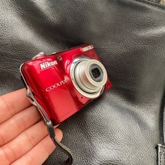 デジカメの画像