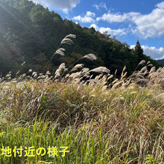 No.G639【京都府福知山市夜久野町】山林9筆あげます！