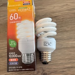 電球の画像