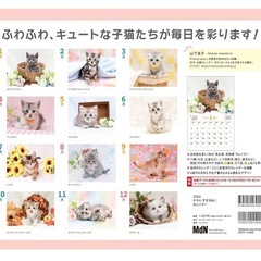 2026 かわいすぎるねこカレンダー〈ふわふわ、キュートな子猫が毎日を彩る〉（壁掛け / 月めくり / 大判）の画像