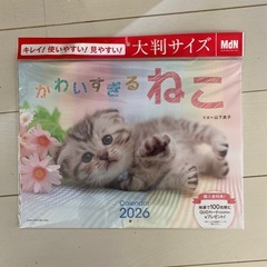 2026 かわいすぎるねこカレンダー〈ふわふわ、キュートな子猫が毎日を彩る〉（壁掛け / 月めくり / 大判）の画像