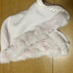 レディースコートの画像