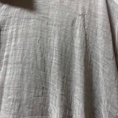 レディース　シアーシャツの画像