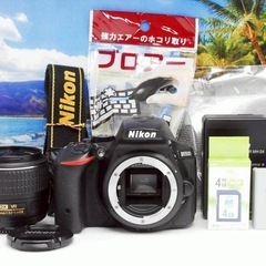 大人気❤️美品 Nikon D5500 レンズキット Wi-Fi機能搭載 一眼の画像