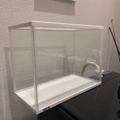 水槽の画像