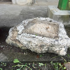 琉球石灰岩の画像