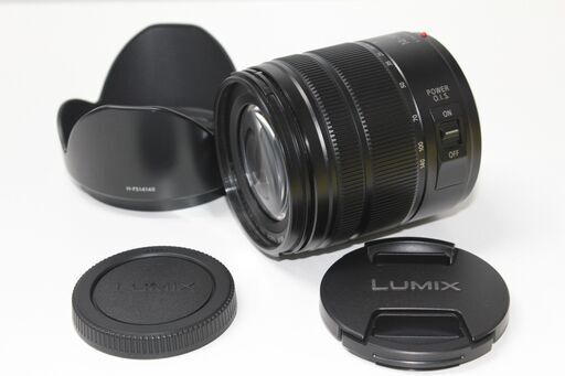 Panasonic/LUMIX/DC-G99D/標準ズームレンズキット/ミラーレス一眼 ④