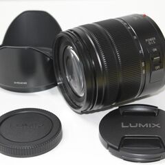 Panasonic/LUMIX/DC-G99D/標準ズームレンズキット/ミラーレス一眼 ④の画像