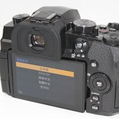 Panasonic/LUMIX/DC-G99D/標準ズームレンズキット/ミラーレス一眼 ④の画像