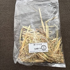 ハイペット　パスチャーチモシーソフトの画像