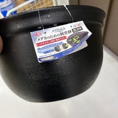メダカ容器（メダカ&ラムズ付）の画像