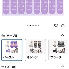 大型犬シューズ　♯8の画像