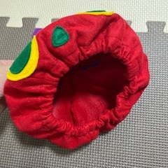 はらぺこあおむし　衣装　ハンドメイドの画像