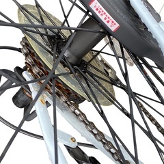 【現地直接引渡し】 DCM パンクしない自転車の画像
