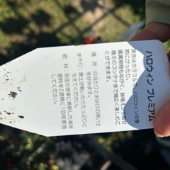 ハロウィンプレミアムとうがらし　５種類あります！の画像