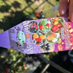 ハロウィンプレミアムとうがらし　５種類あります！の画像