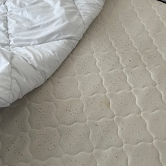 コンセントあり　ローベッドの画像