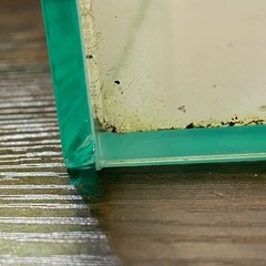 ★決まりました★30キューブ水槽 ハイタイプの画像