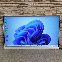 Princeton PTFWFE-24W 24インチ液晶ディスプレイの画像