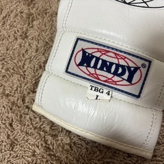 WINDY パンチンググローブ TBG4　Lサイズの画像